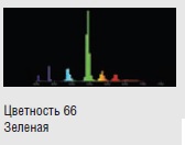  ������ ���� �����